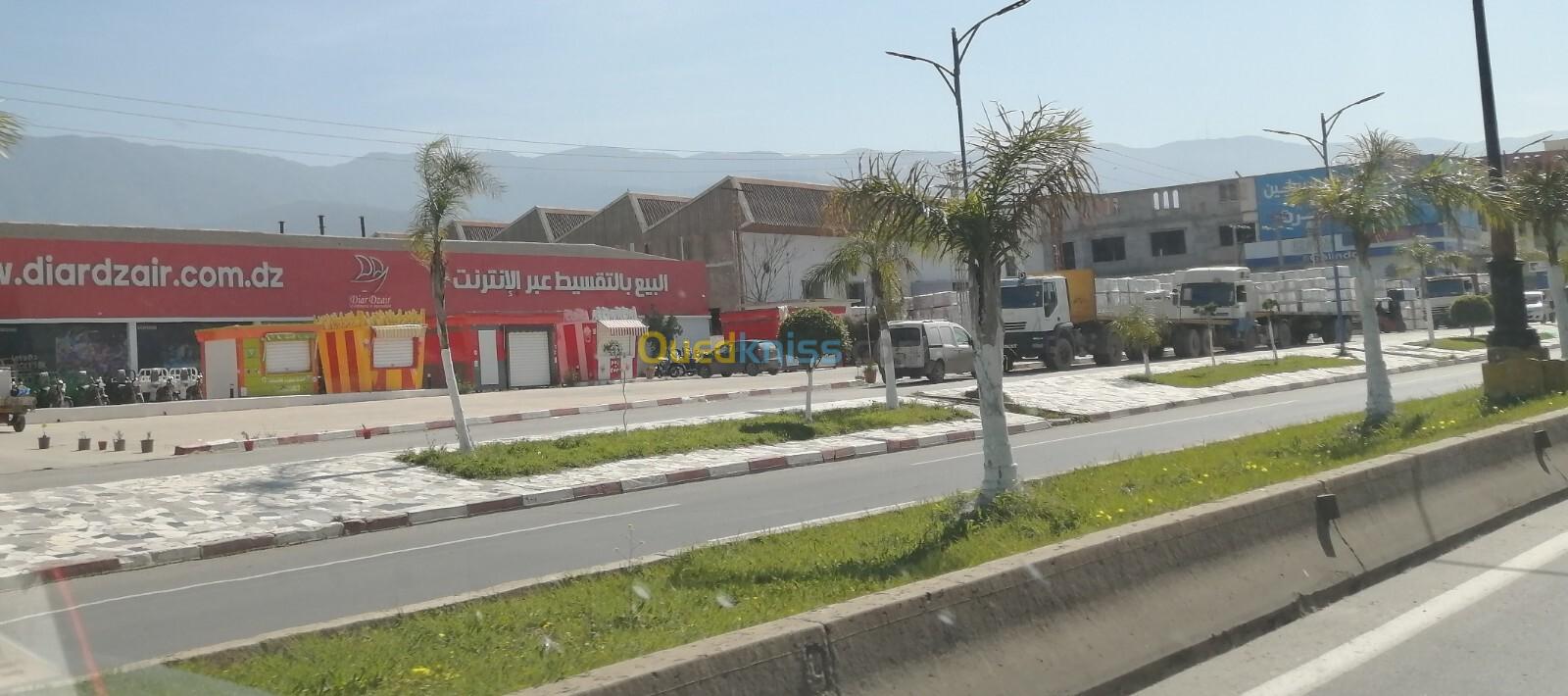 Vente Terrain Blida Blida