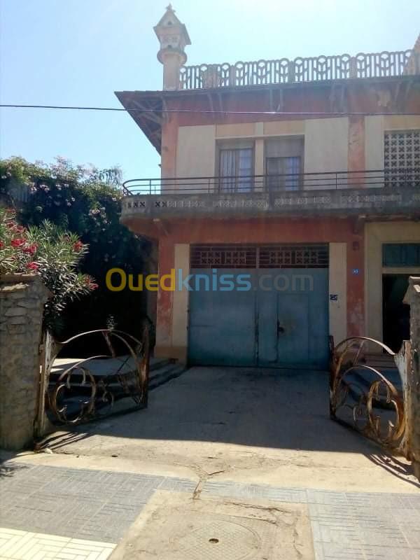 Vente Villa Aïn Témouchent El amria