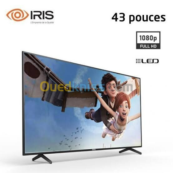 Television IRIS C3010 Smzrt Full HD Web Os