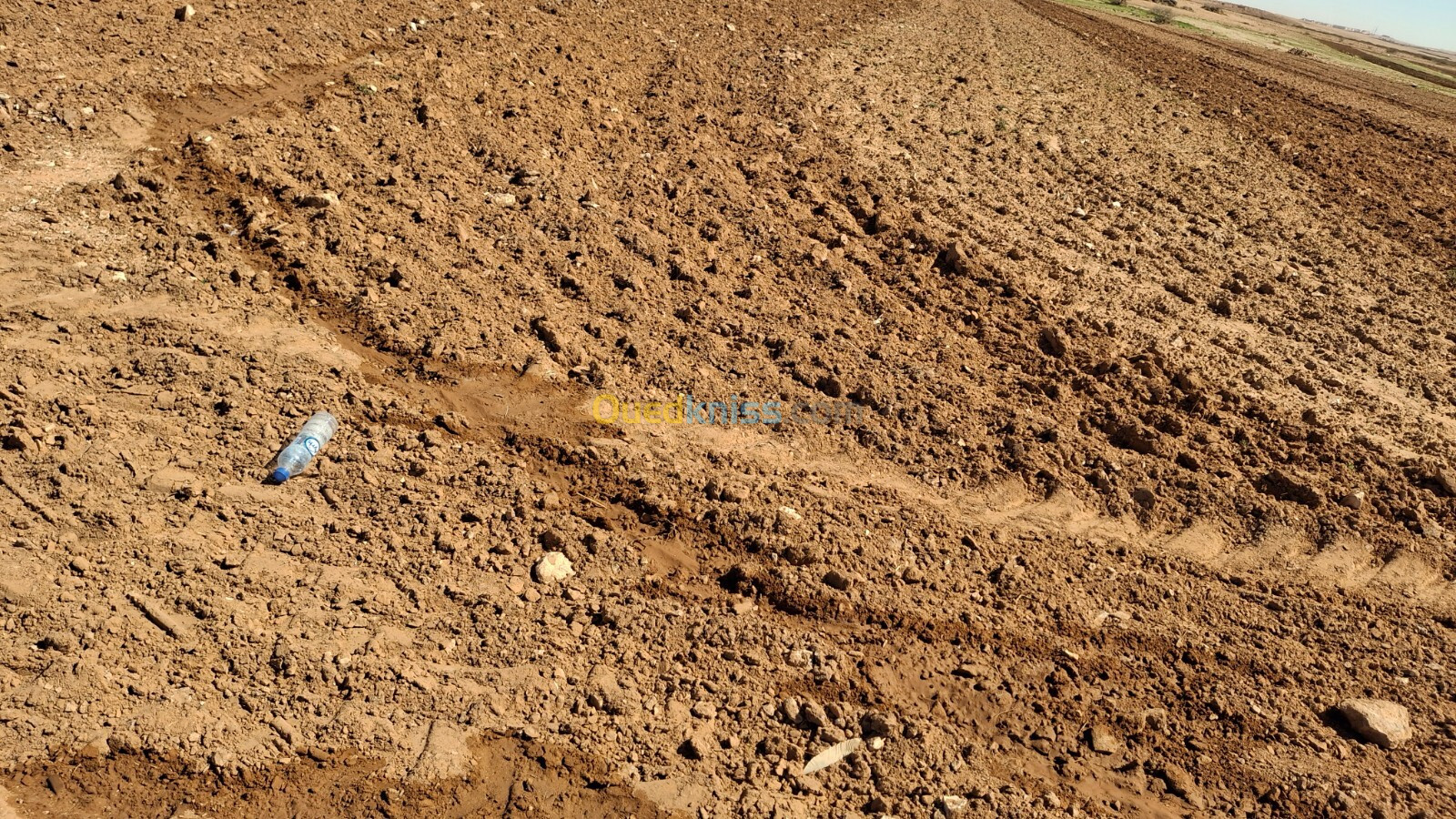 Vente Terrain Agricole Djelfa Ain oussara