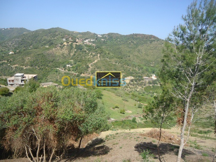 Vente Terrain Béjaïa Bejaia