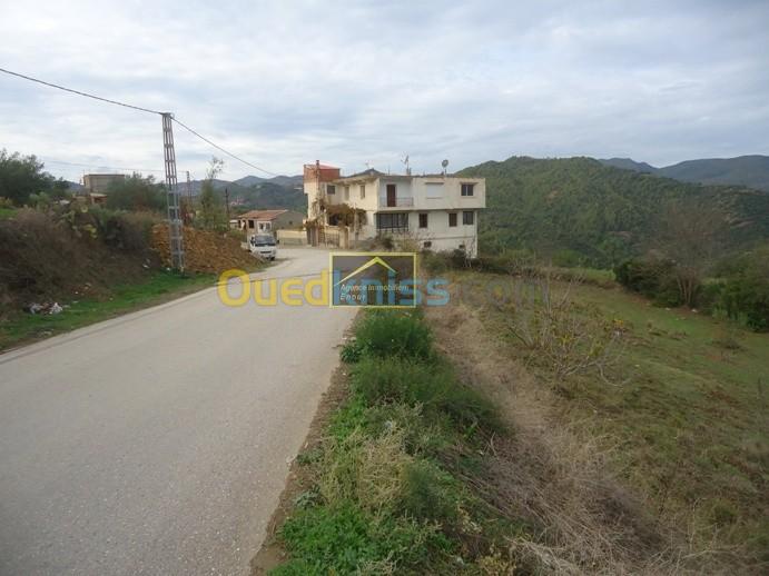 Vente Terrain Bejaia Toudja