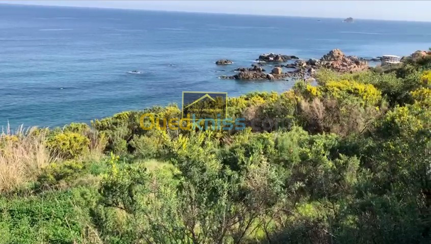 Vente Terrain Béjaïa Bejaia