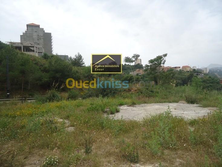 Vente Terrain Béjaïa Bejaia