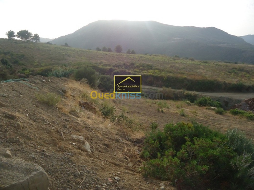 Vente Terrain Bejaia Beni ksila