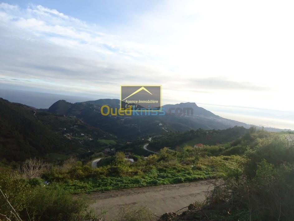 Vente Terrain Bejaia Bejaia