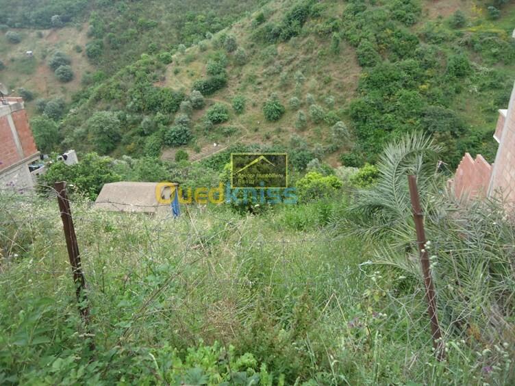 Vente Terrain Bejaia Boukhelifa