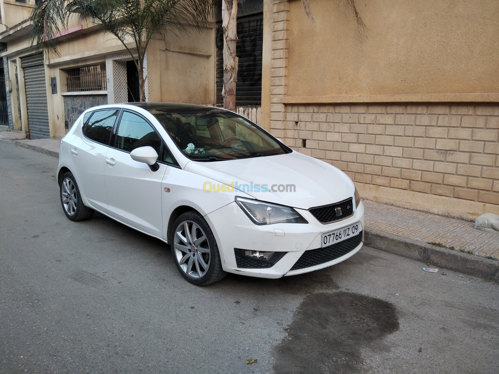 Seat Ibiza 2012 Edition 50