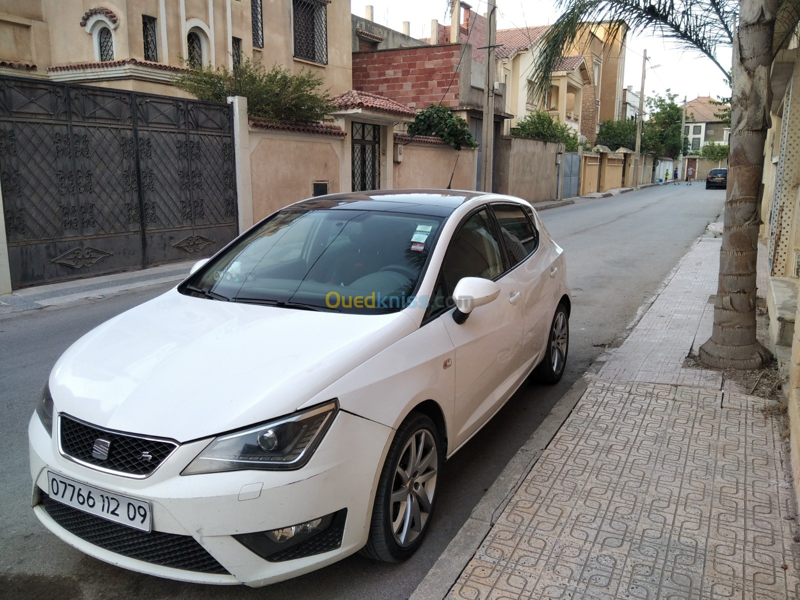 Seat Ibiza 2012 Edition 50