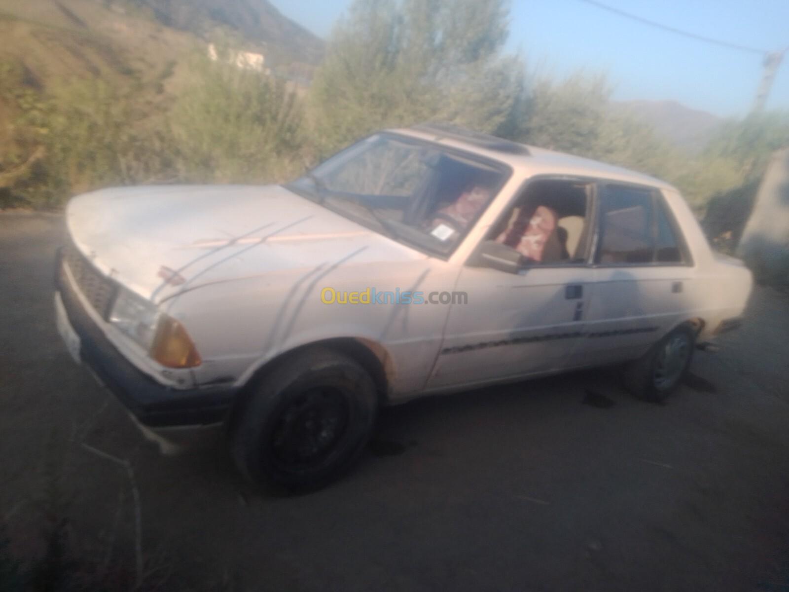 Peugeot 305 1988 305