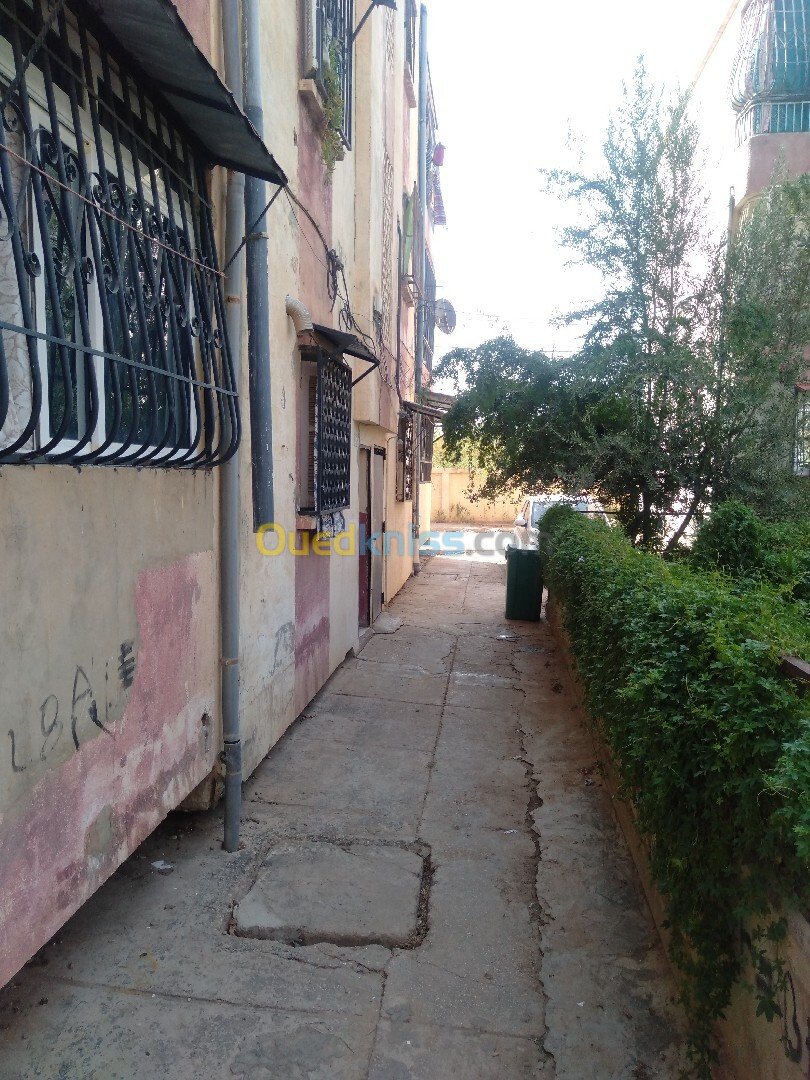 Vente Appartement F3 Chlef Boukadir