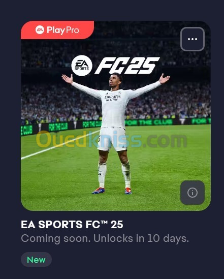 EA PLAY PRO 12 MOIS / PC 