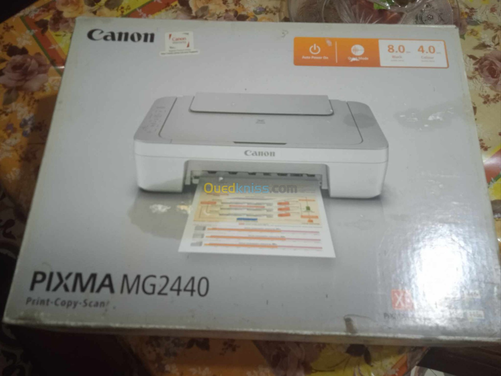 Canon PIXMA MG2440 sans cartouches