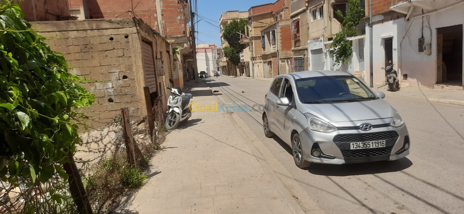 Vente Terrain Blida Chiffa