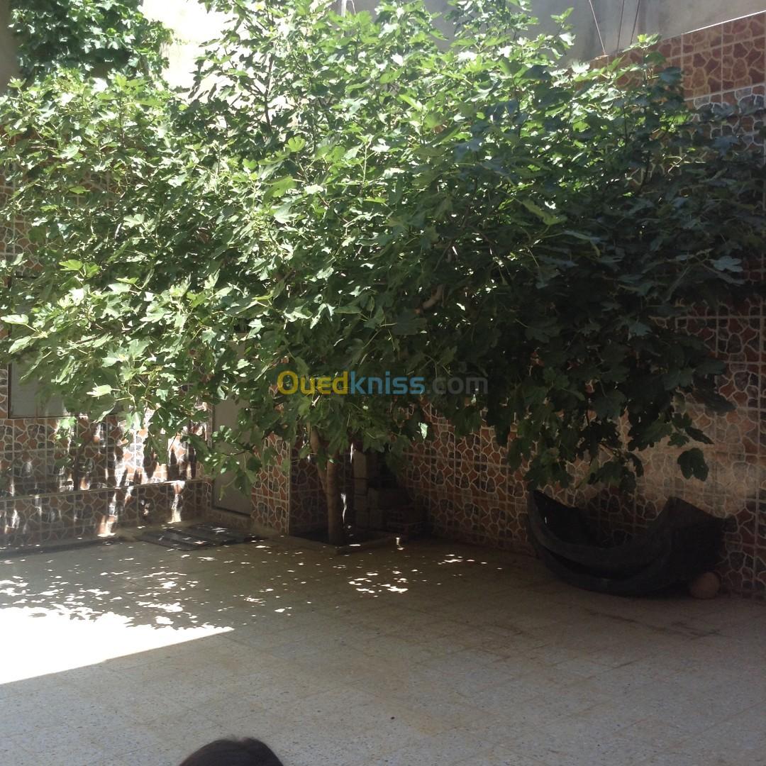 Vente Villa Chlef Boukadir