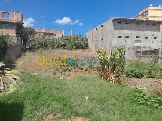 Vente Terrain Boumerdès Ouled moussa