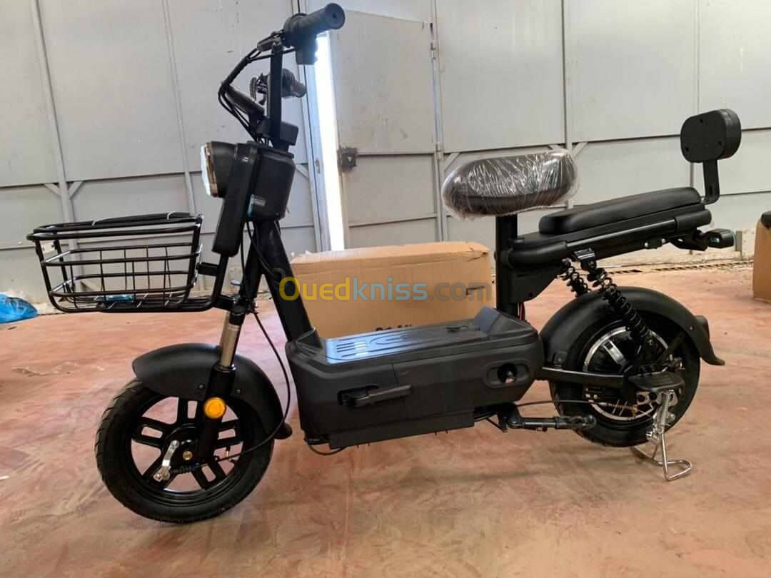 Scoozer Scooter électrique 2024