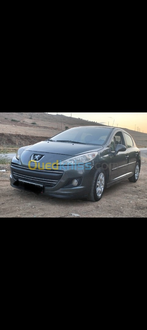 Peugeot 207 2007 207