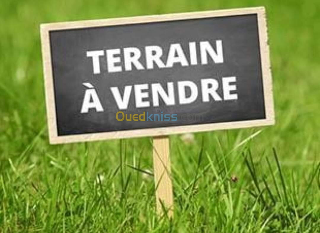 Vente Terrain Oran Bir el djir