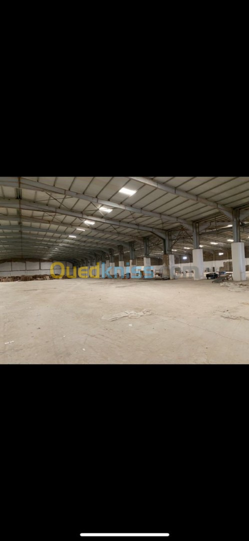 Vente Usine Oran Oued tlelat