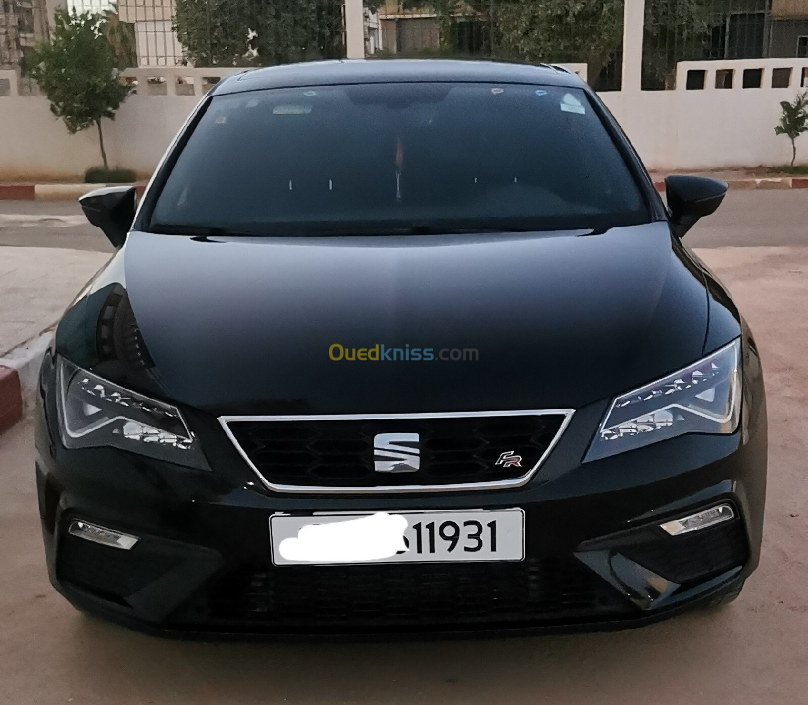 Seat Leon 2019 Bets