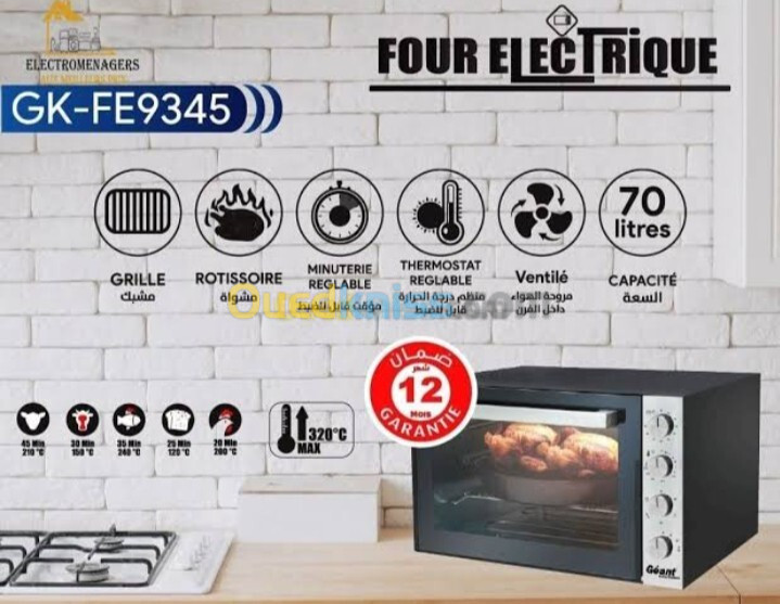 Promotion four électrique Géant et Raylan 70 litres ventilé 