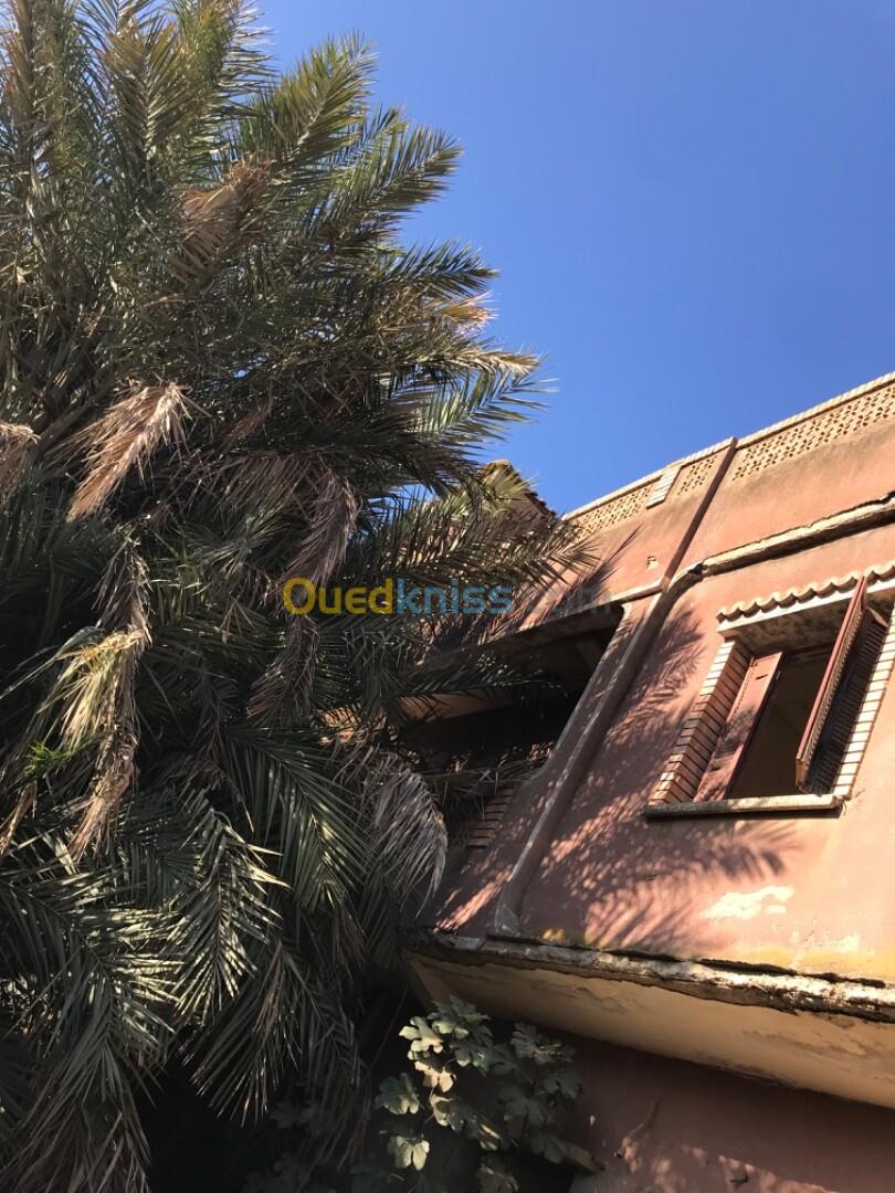 Vente Villa Alger Sidi moussa