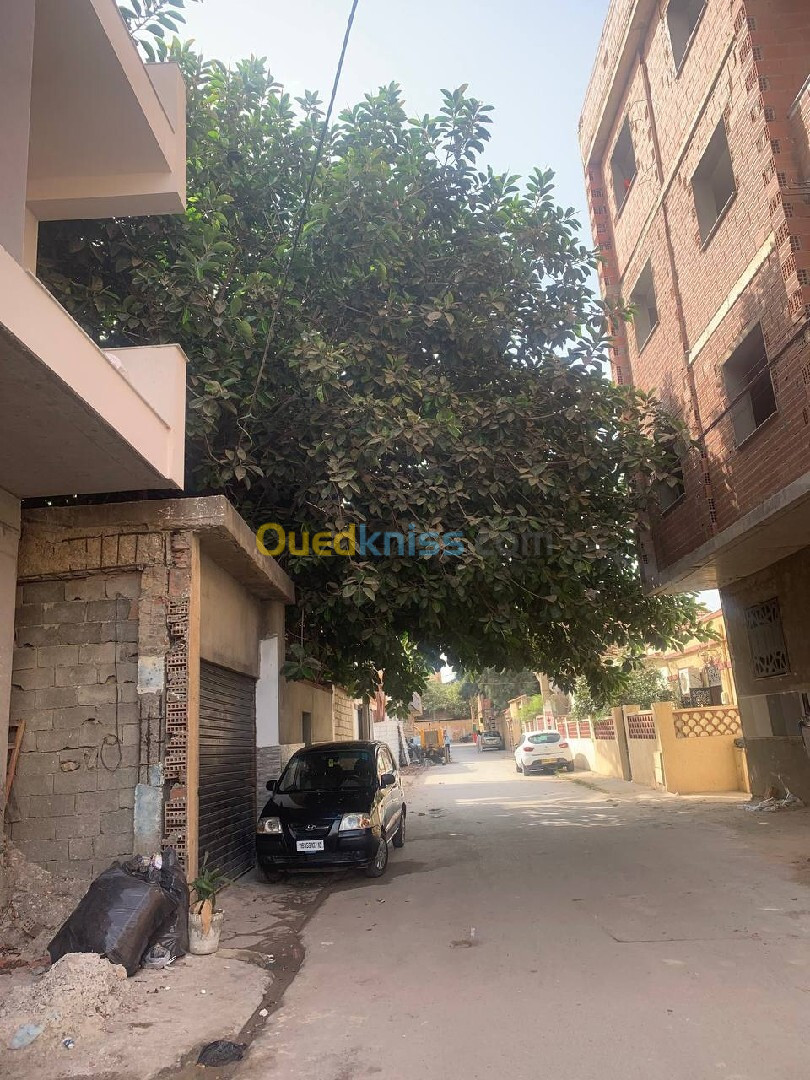 Vente Duplex F4 Alger Bordj el kiffan