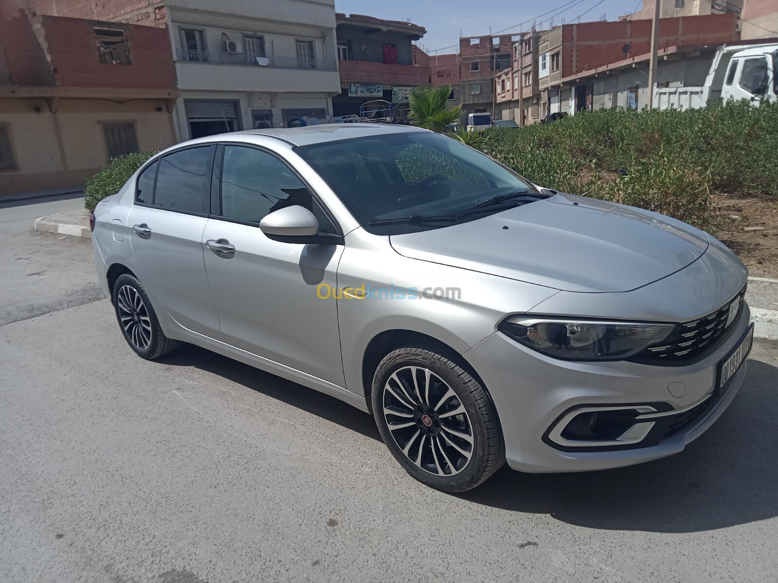 Fiat Tipo 2023 Lief