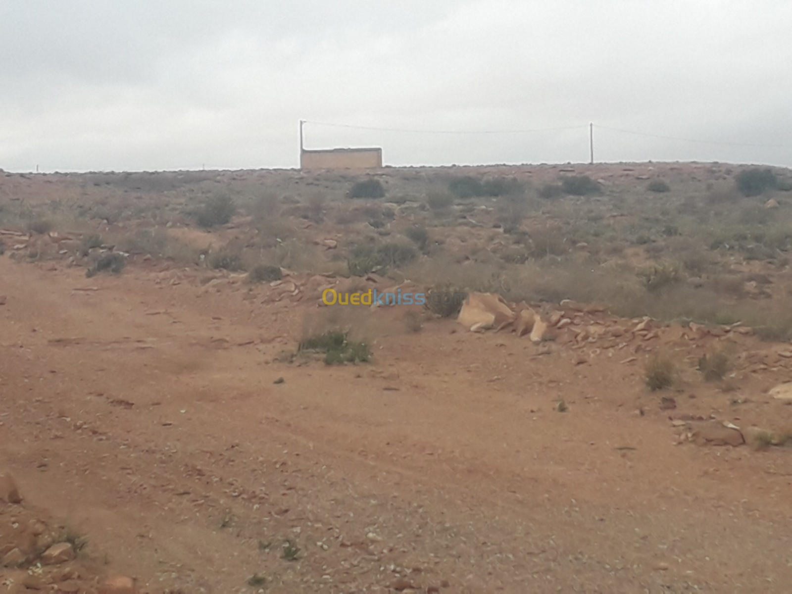 Vente Terrain Agricole Djelfa Ain el ibel