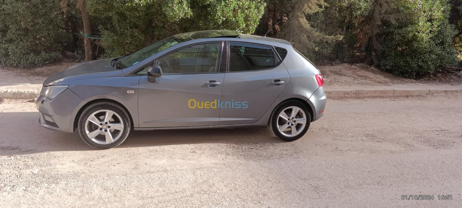 Seat Ibiza 2013 