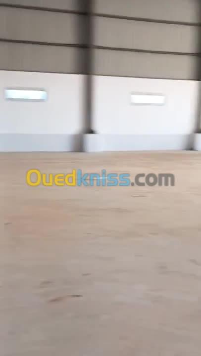 Location Hangar Alger Ouled chebel