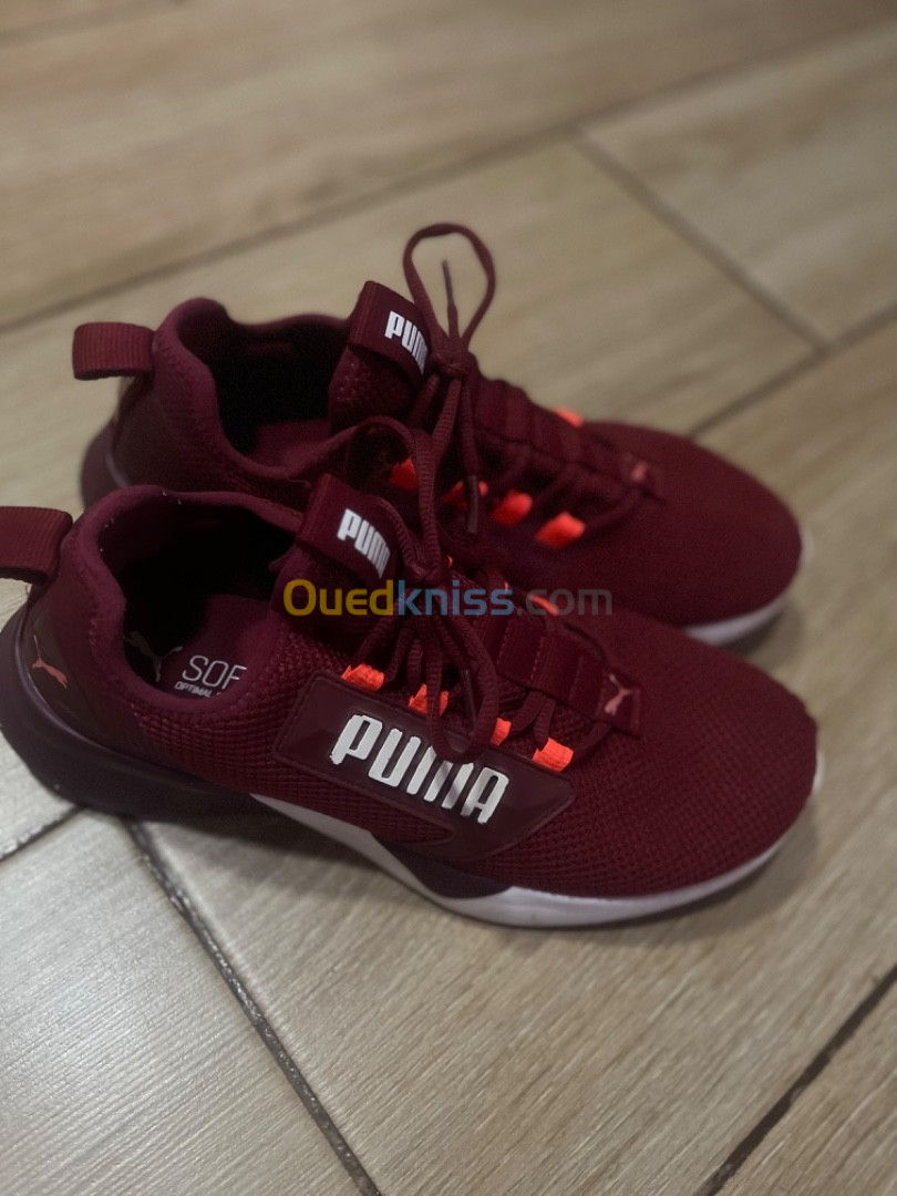 Ouedkniss basket outlet puma