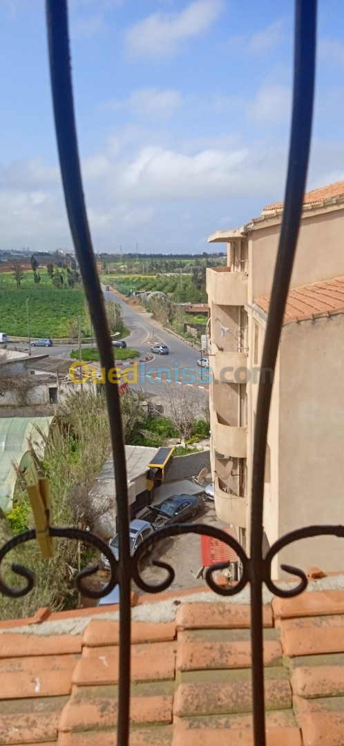 Vente Appartement F3 Tipaza Douaouda