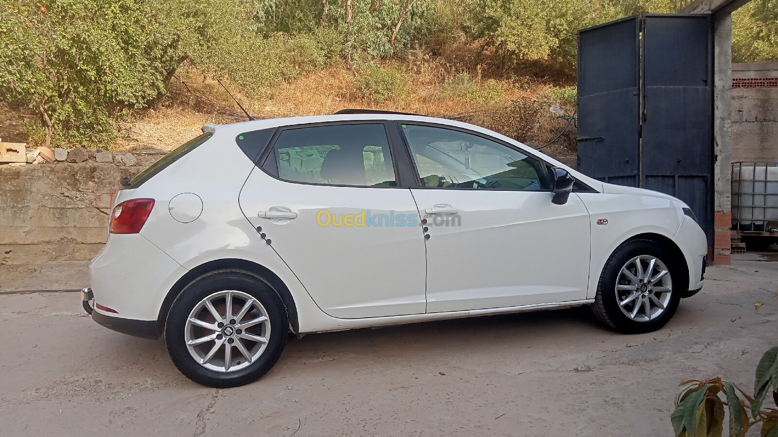 Seat Ibiza 2011 Loca