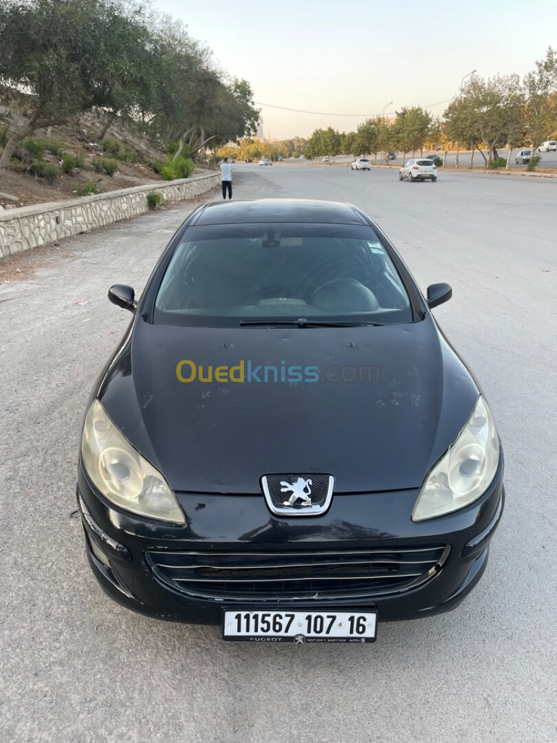 Peugeot 407 2007 407