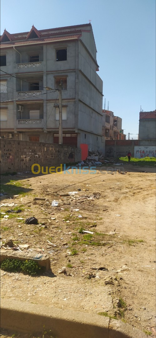 Vente Terrain Alger Reghaia