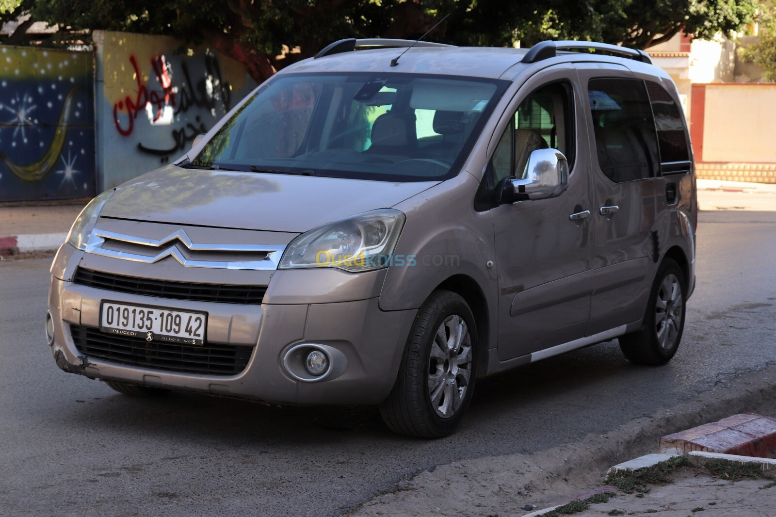 Citroen Berlingo 2009 Berlingo