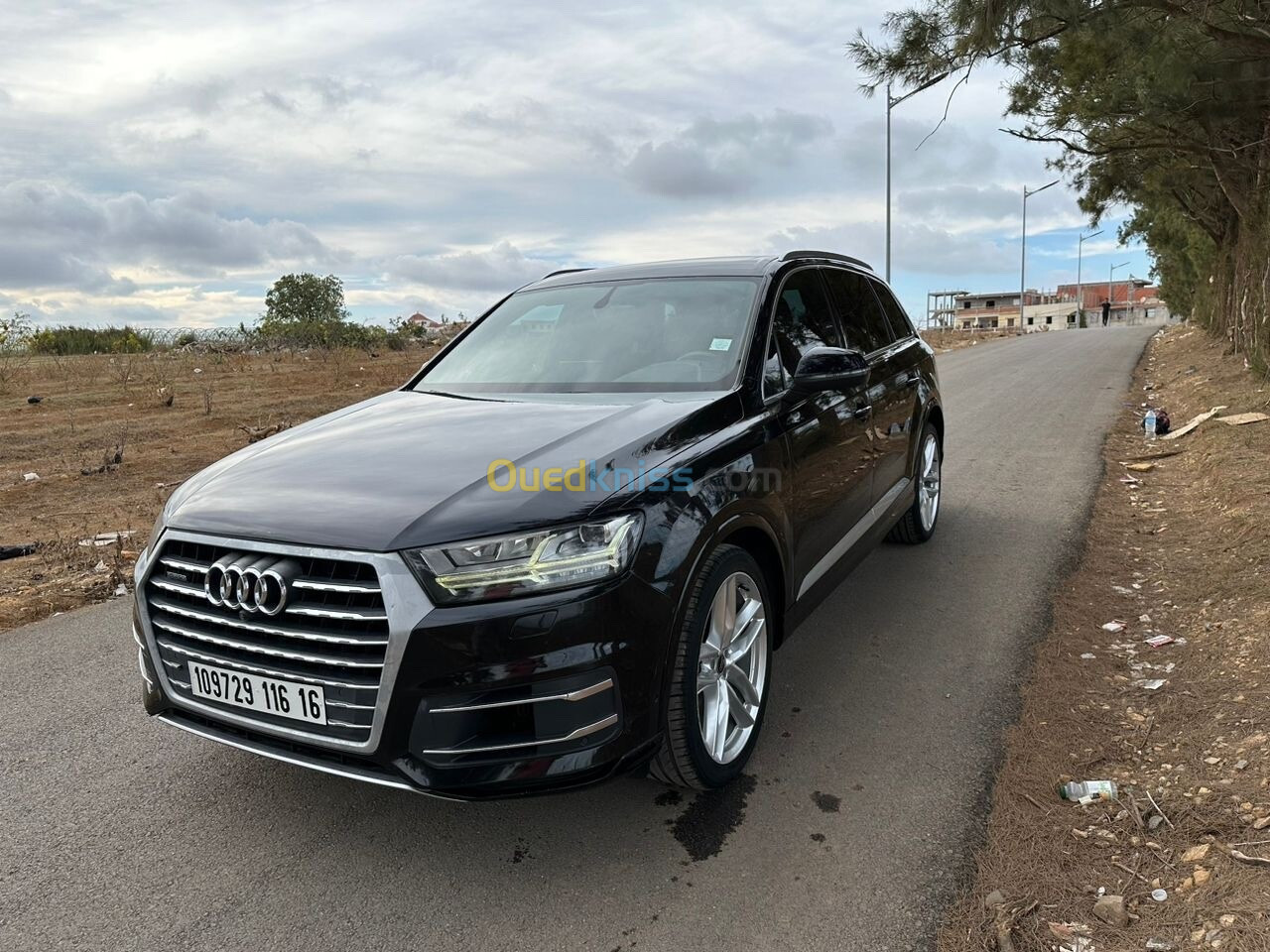 Audi Q7 2016 S Line