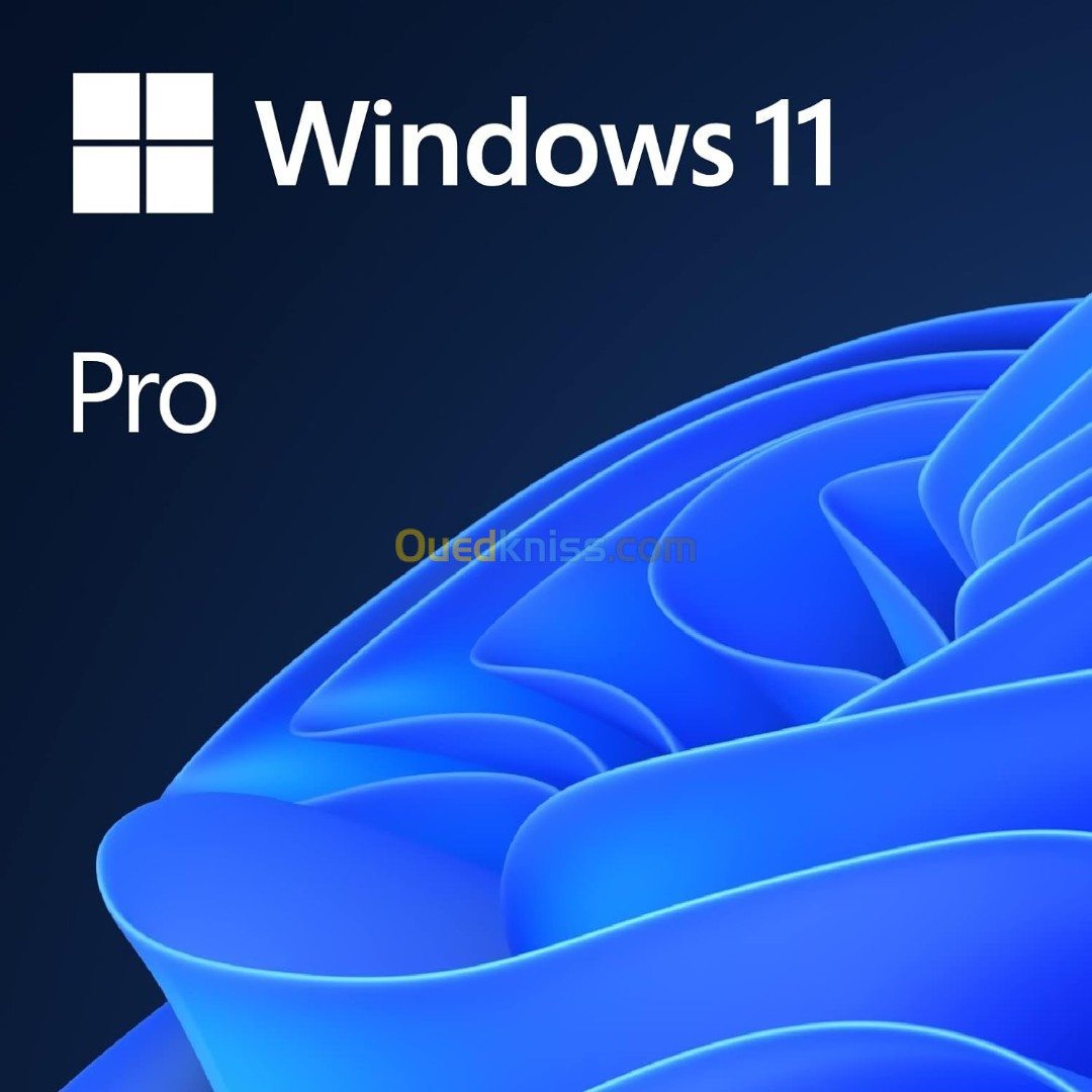 Windows 11 Pro | Authorized By Microsoft