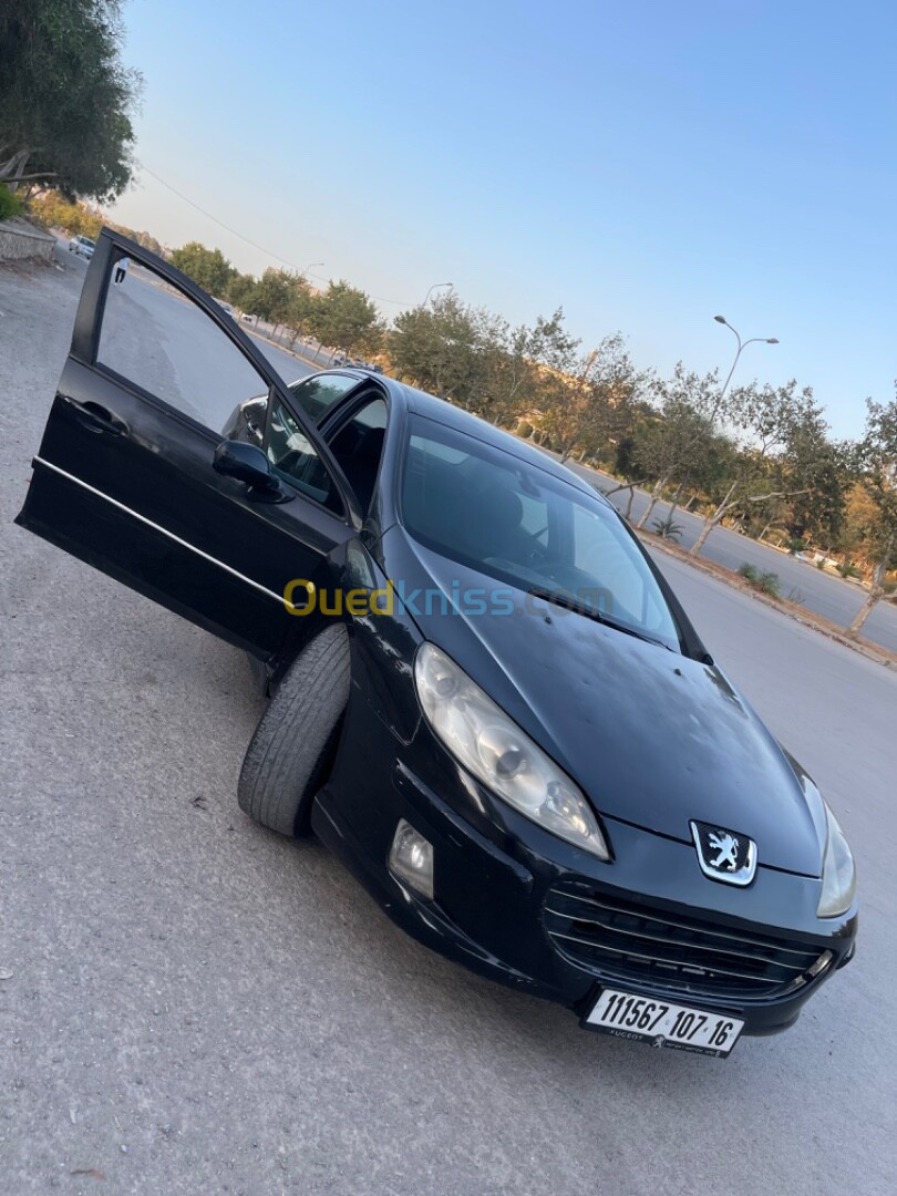 Peugeot 407 2007 407