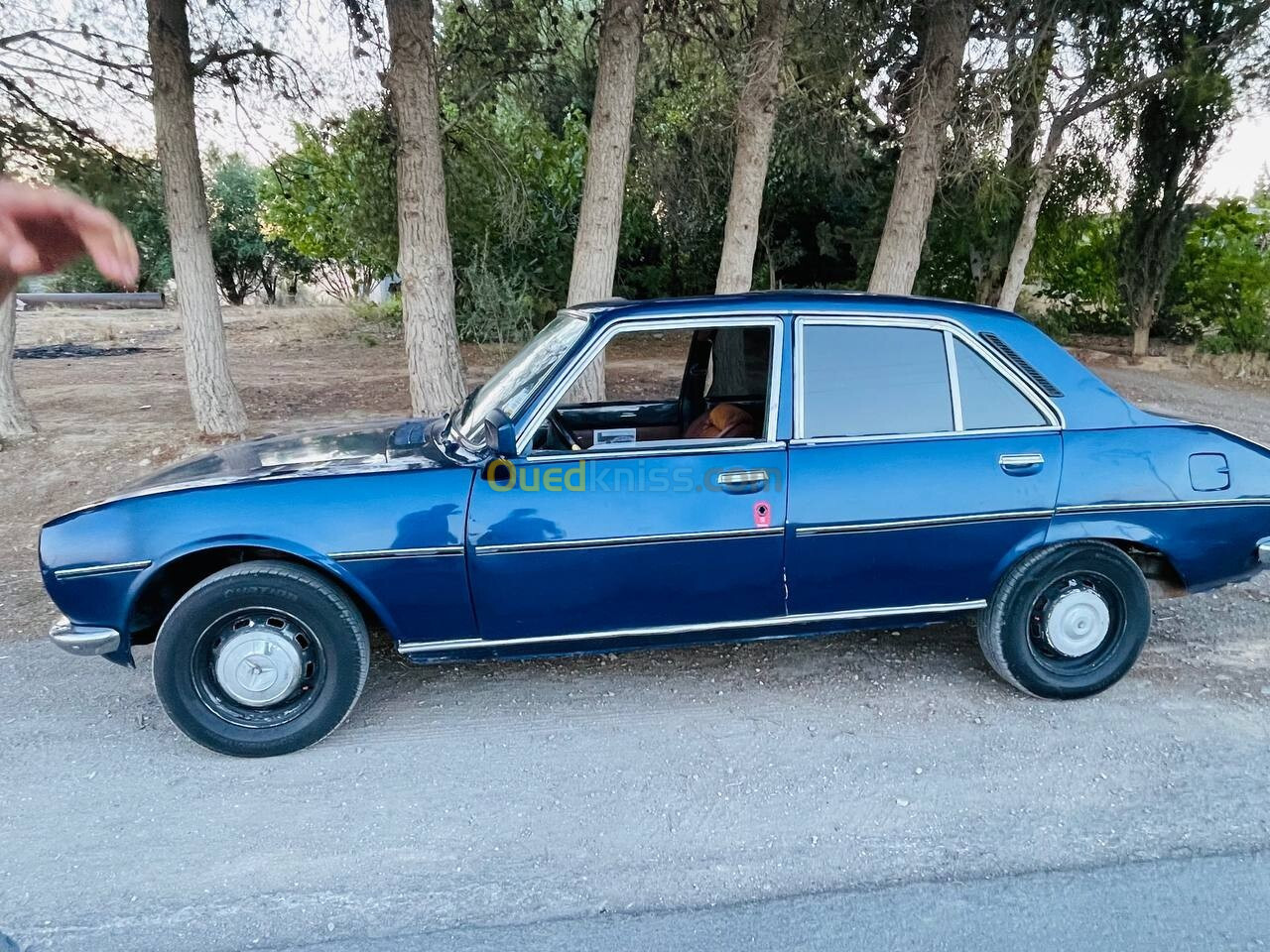 Peugeot 504 1976 