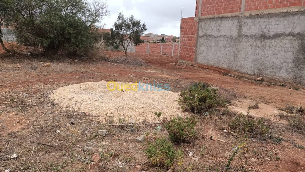 Vente Terrain Tlemcen Ghazaouet