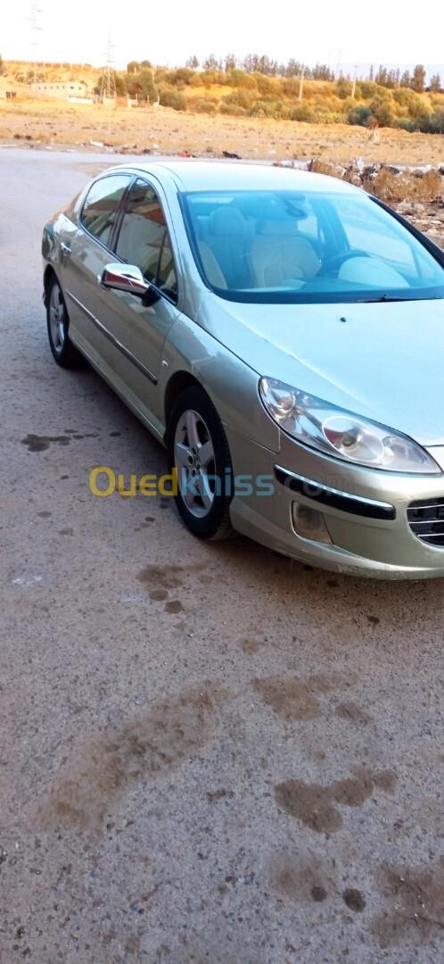 Peugeot 407 2005 407