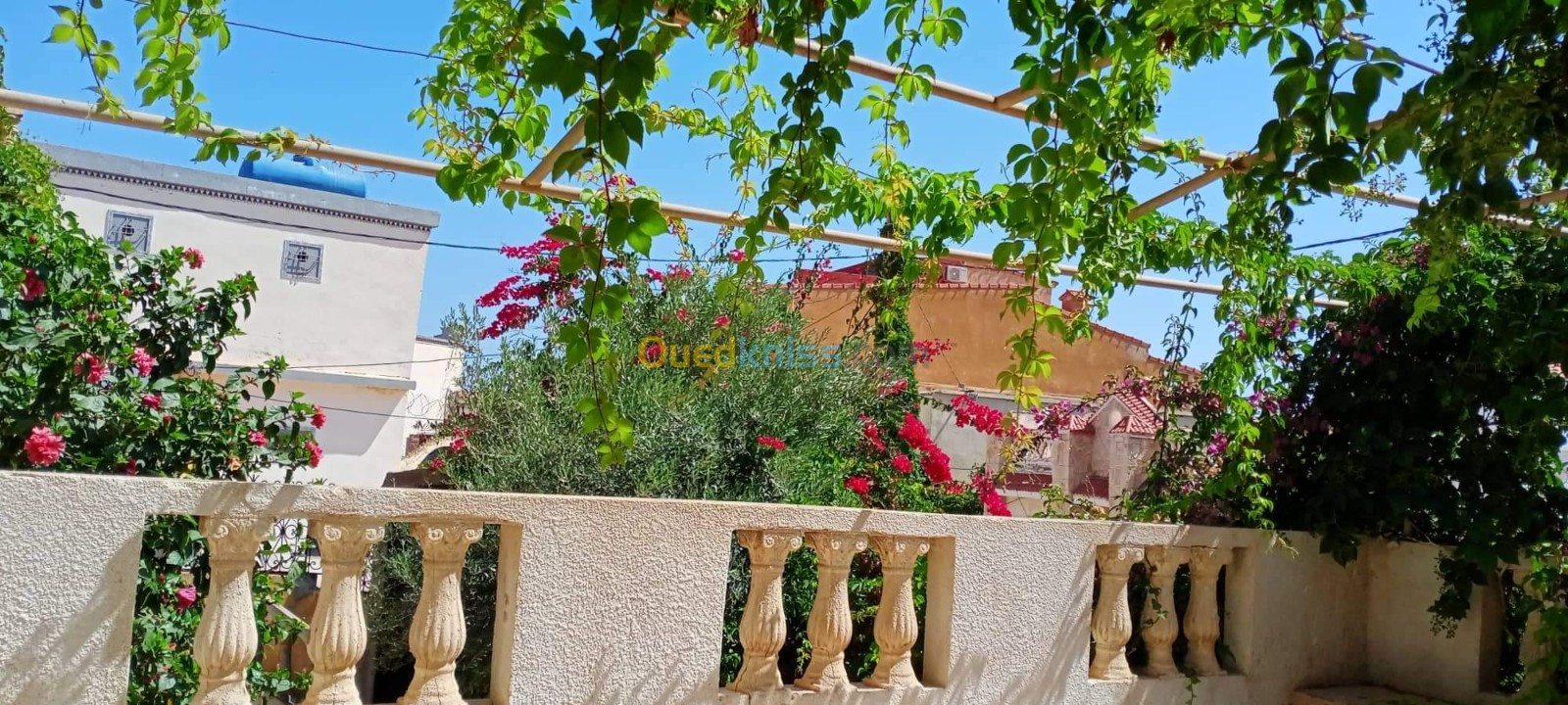 Location vacances Bungalow Oran Ain el turck