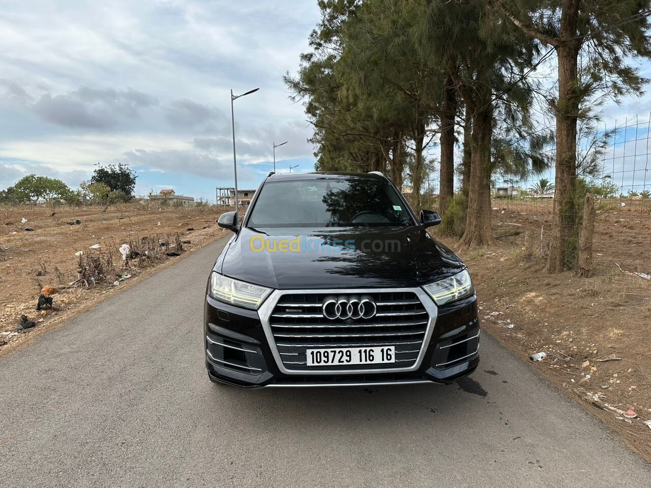 Audi Q7 2016 S Line