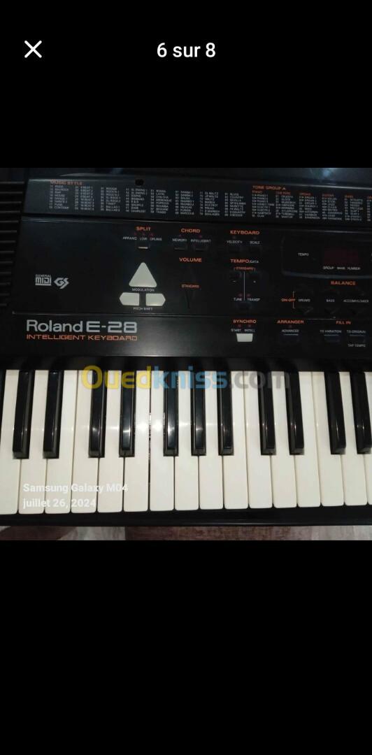 Roland e28