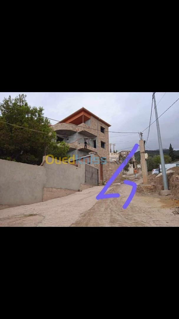 Vente Terrain Tipaza Larhat