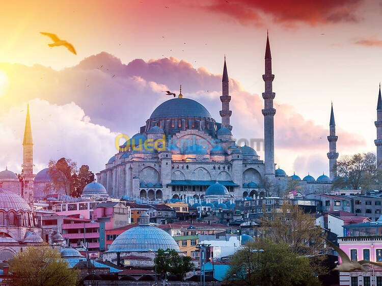 VOYAGE ORGANISE ISTANBUL