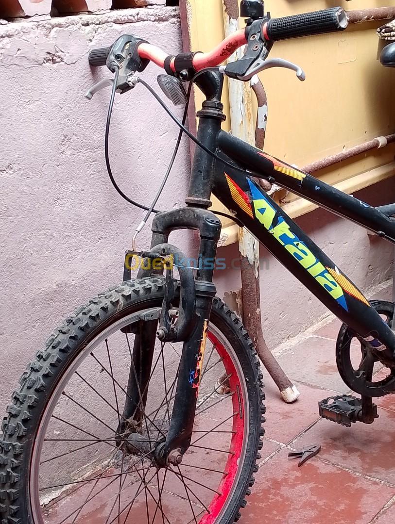 Velo vtt